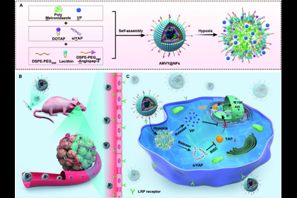 我校神经系统疾病研究所在JournalofNanobiotechnology发表最新研究成果