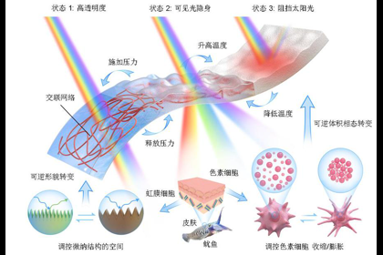 哈工大能源学院帅永教授团队突破...