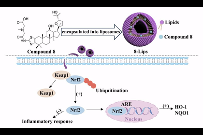 烟台大学毕毅/张竹红团队在JournalofMedicinalChemistry发表ocotillol衍生物治疗视网膜缺血再灌注损伤的最新研究成果