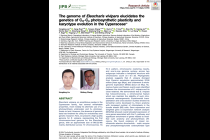 2024-08-28JIPB|基因组所程时锋课题组揭示大莎草C3-C4光合作用转换遗传基础更多