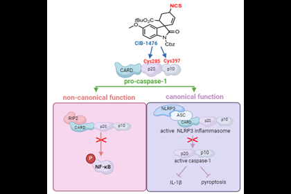 成都生物所研究发现新型化学小分子药物靶向pro-cas...