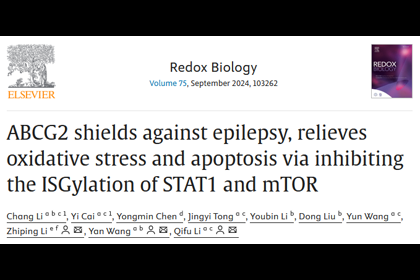 RedoxBiol｜海南医科大学李其富/王燕/复旦大学李智平合作揭示转运蛋白ABCG2缓解癫痫发作的分子机制2024.07.27